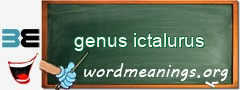 WordMeaning blackboard for genus ictalurus